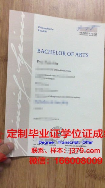 杜塞U博士毕业证：一份承载荣誉与梦想的证书