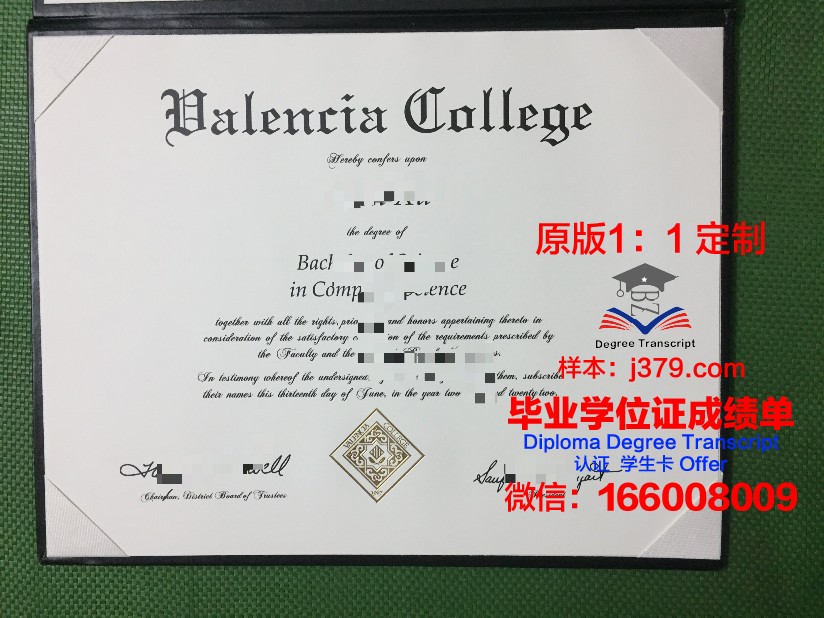 瓦伦西亚欧洲大学学位证(瓦伦西亚大学研究生申请条件)