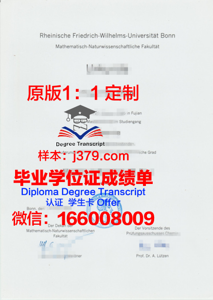 波恩大学毕业学位证书(波恩大学毕业学位证书有用吗)