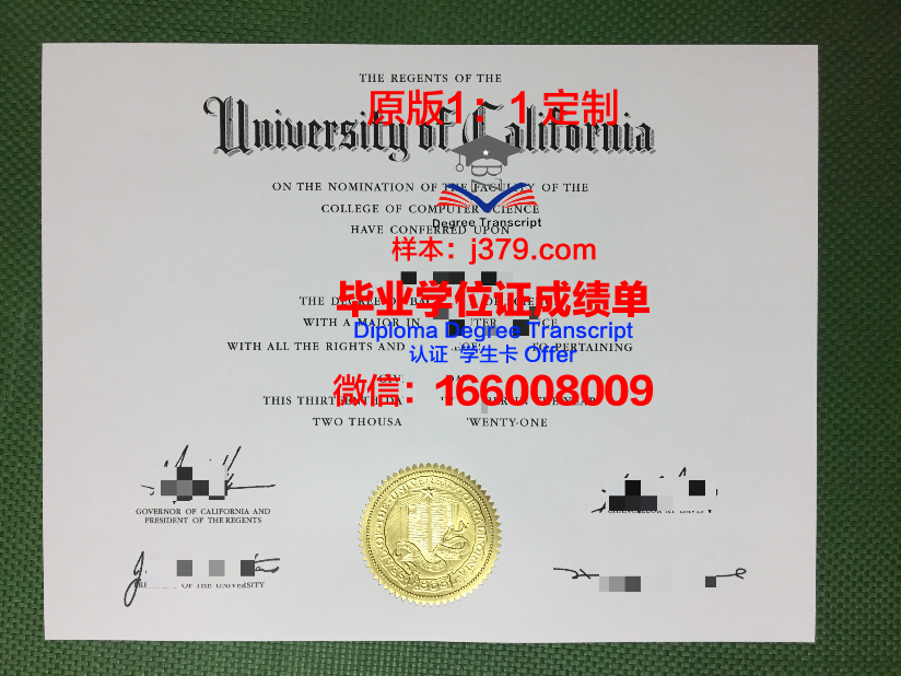 林奈大学毕业证图片