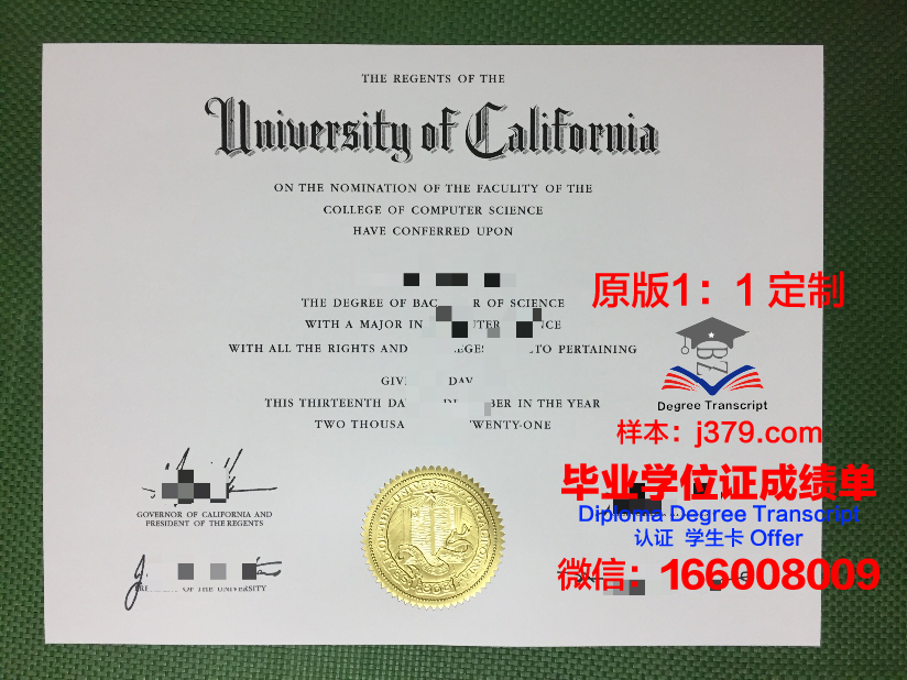 泰勒马克大学学院 diploma 毕业证