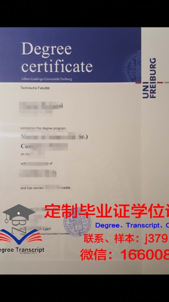 弗莱堡大学diploma证书(弗莱堡大学imp项目)