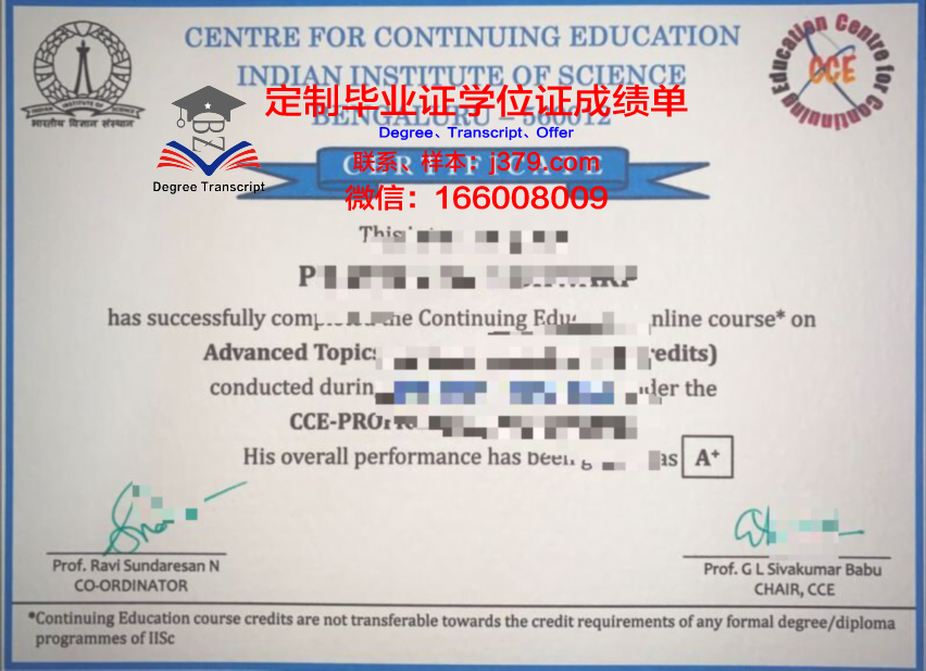 波尔多国立高等农业科学学院毕业证定制：传承与创新的艺术