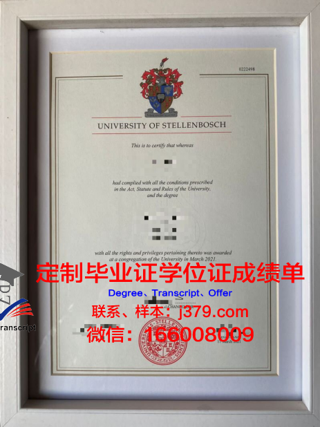 泰伦博斯毕业证定制：追寻独特记忆的匠心之作