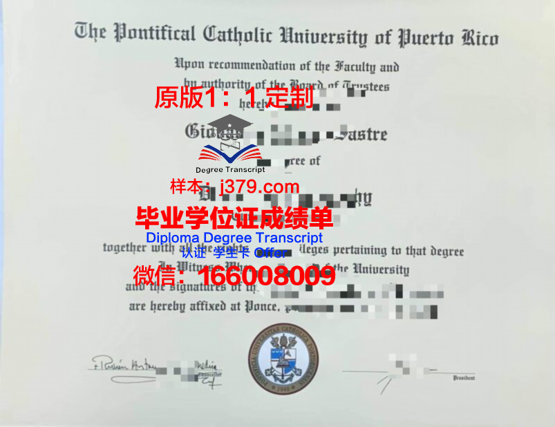 波多黎各大学毕业证：跨文化交流的桥梁
