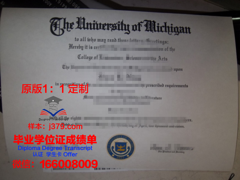 波尔多综合理工学院毕业证定制：传承与创新的艺术结晶