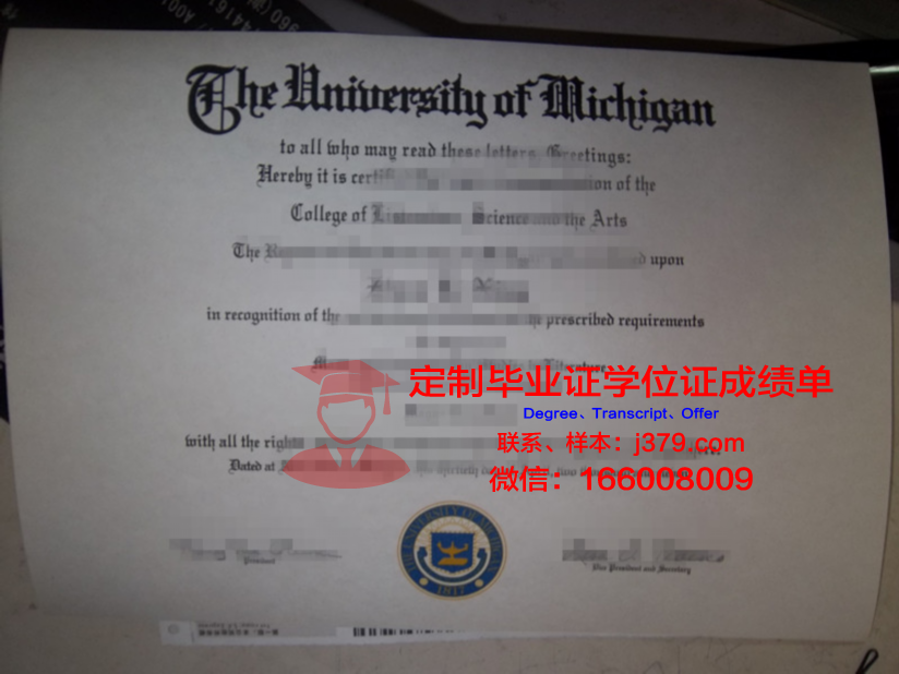 瓦耶大学博士毕业证：一份跨越学术高峰的荣誉证书