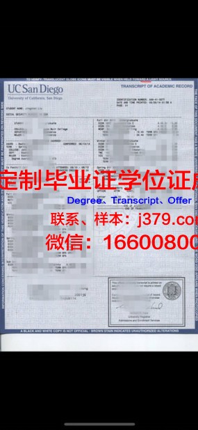波城大学成绩单：记录青春足迹，见证成长历程