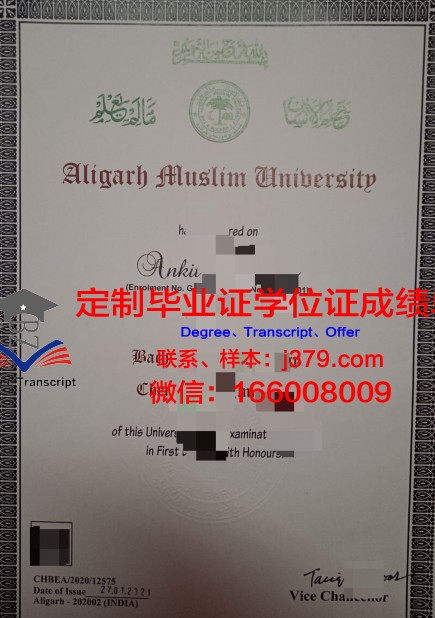 穆罕默德·阿里·金纳大学毕业证高清图