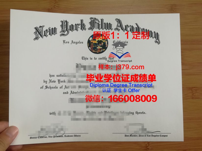 纽约大都会学院毕业文凭