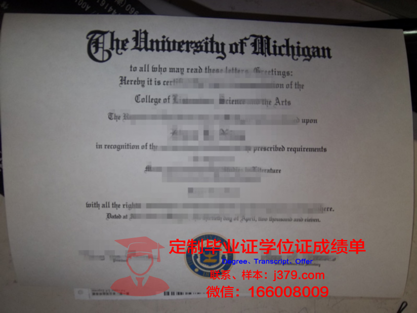 泰勒马克大学学院 diploma 毕业证