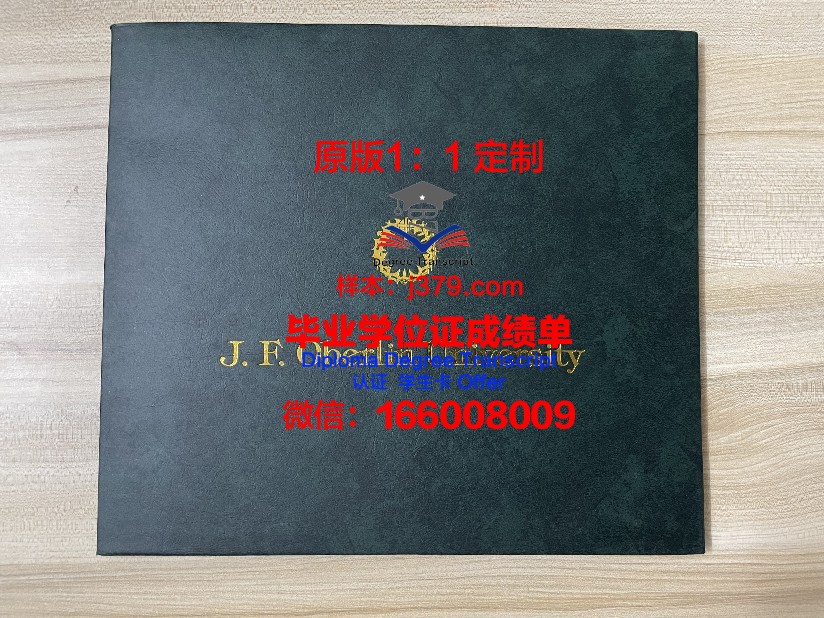 波尔多第三大学毕业学位