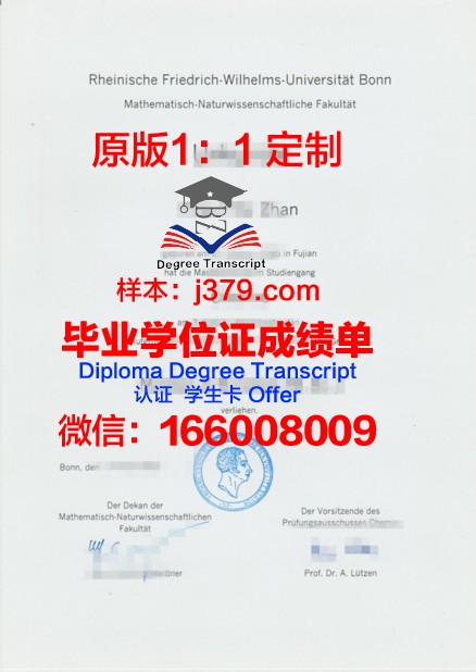 波恩大学毕业证diploma