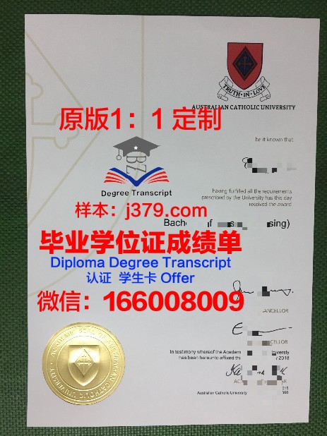 林堡天主教大学毕业证案例(天主教大学生)