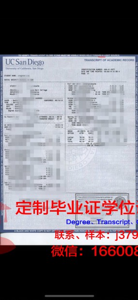 波兹南艺术大学成绩单：一份展示才华与努力的证明