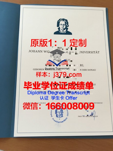 法兰克福造型艺术学院研究生毕业证书(法兰克福dax)