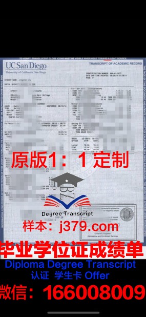 波斯学位成绩单定制：传统与现代的完美融合