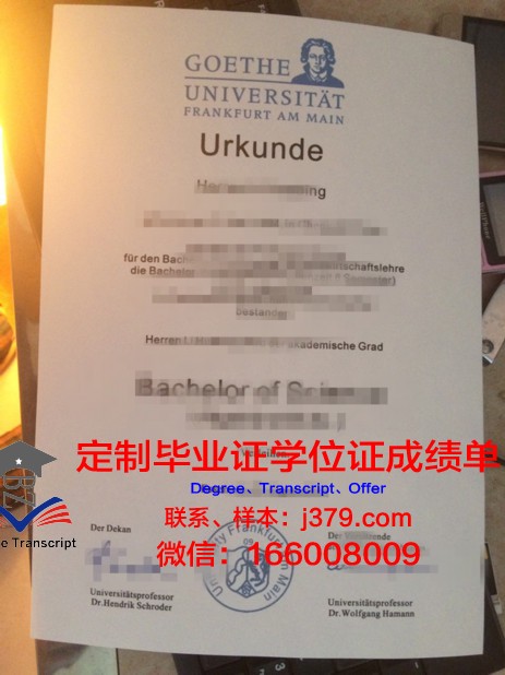 法兰克福造型艺术学院几年可以毕业证(法兰克福dax)