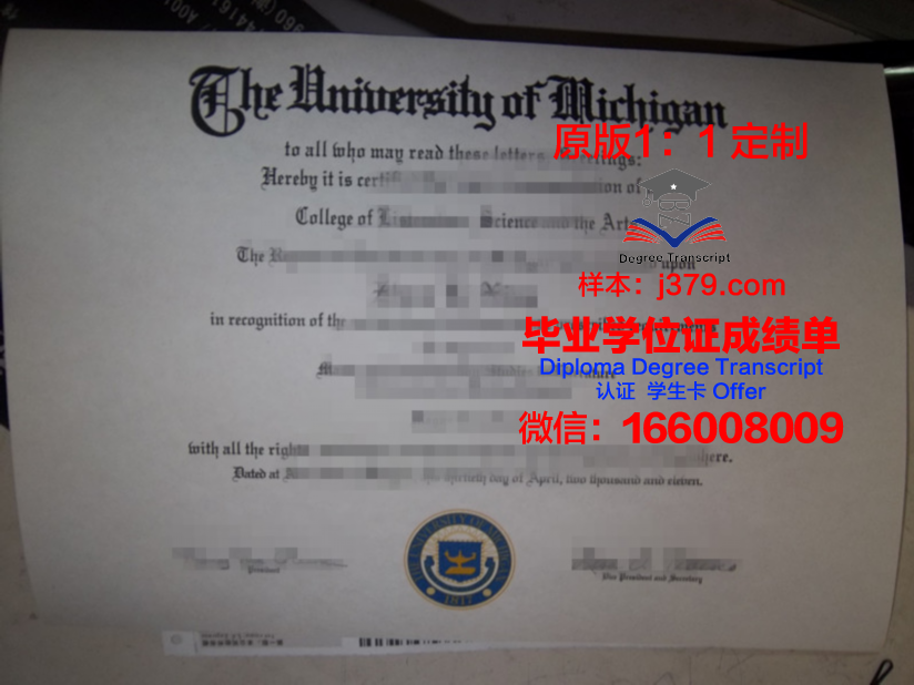 波尔多第一大学毕业证补办(波尔多第三大学学费)