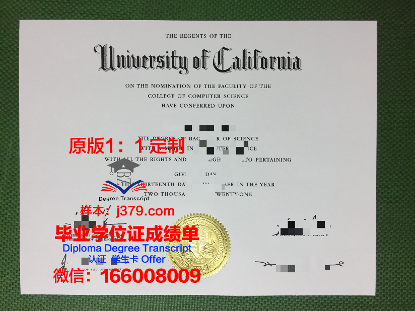 波尔多大学毕业证是什么样子(波尔多大学毕业证是什么样子的图片)