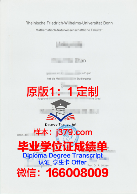 波恩大学毕业证diploma
