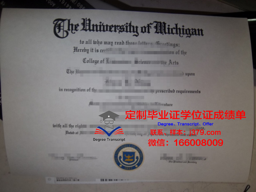 波大学毕业证：一张纸的重量与价值
