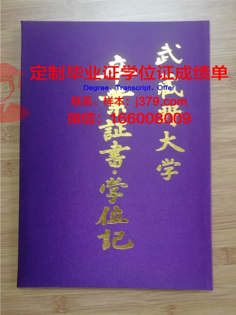波尔多综合理工学院-波尔多国家高等电子计算机电信数学与机械学院毕业证壳子