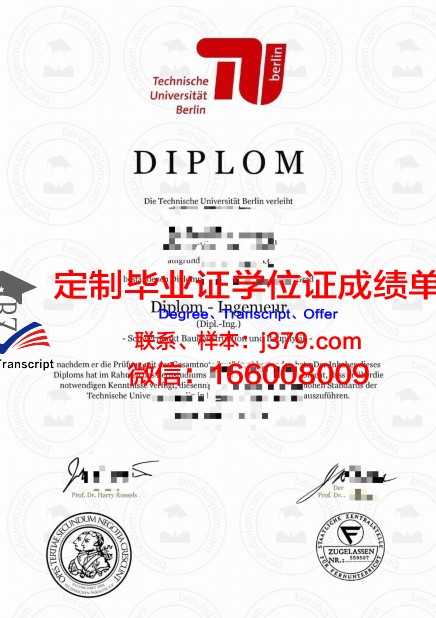 柏林斯泰恩拜斯应用技术大学成绩单：一份国际认可的学术荣誉