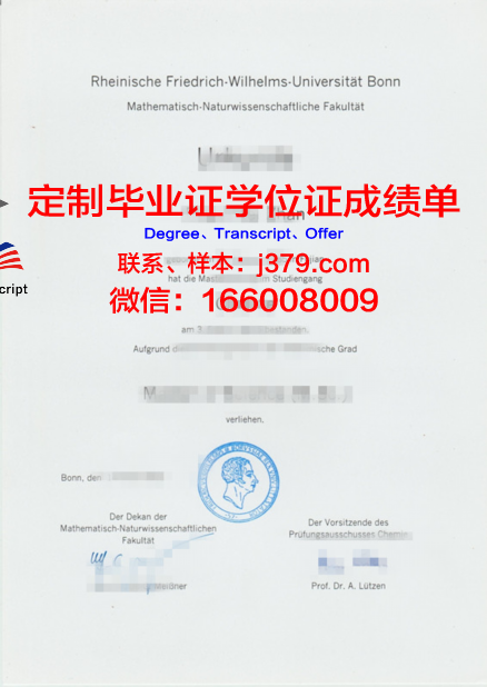 波恩大学毕业证Diploma文凭成绩单