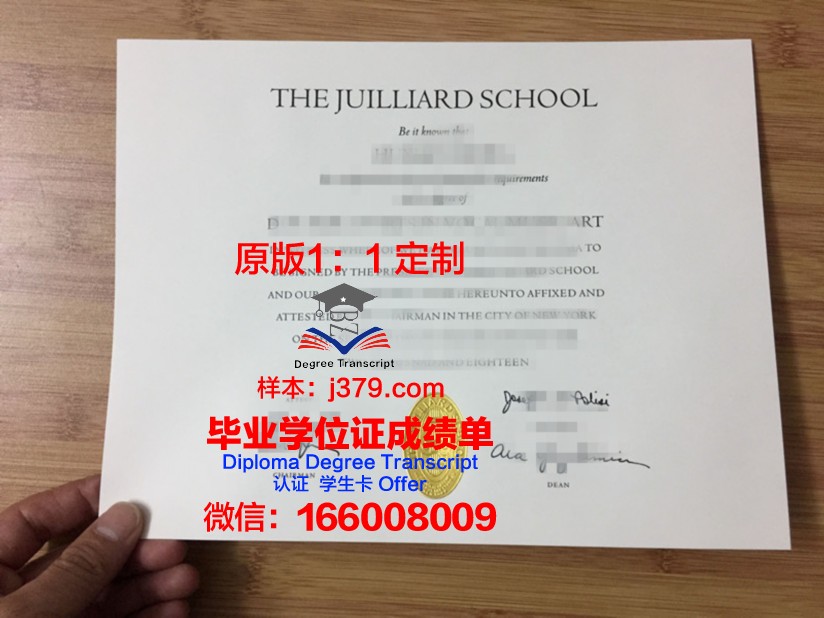 波尔扎诺音乐学院毕业证书图片模板(波尔扎诺音乐学院毕业证书图片模板大全)