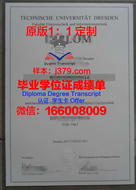 科特布斯勃兰登堡工业大学毕业证翻译(德国科特布斯勃兰登堡工业大学排名)