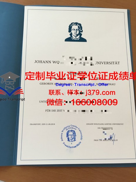 法兰克福大学成绩单：一份承载荣誉与梦想的纸笔记录