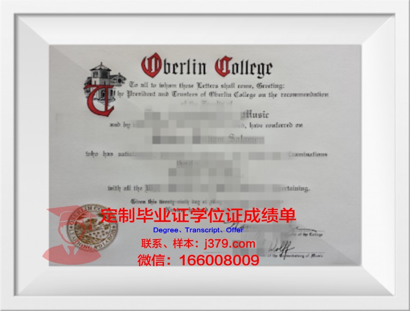 柏林欧洲经济学院毕业证是什么模样(柏林经济与法大学)