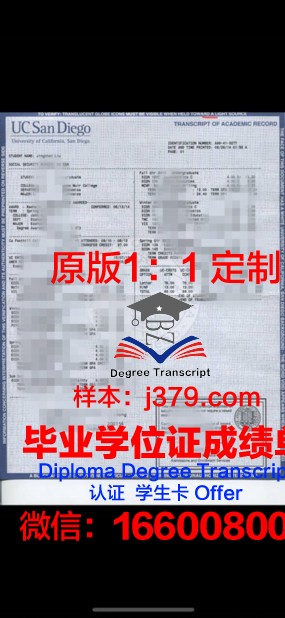 玛蒂尔达的成绩单：解密重返未来1999中的谜题