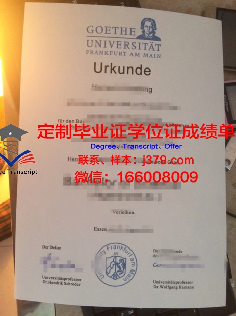法兰克福造型艺术学院研究生毕业证书(法兰克福dax)