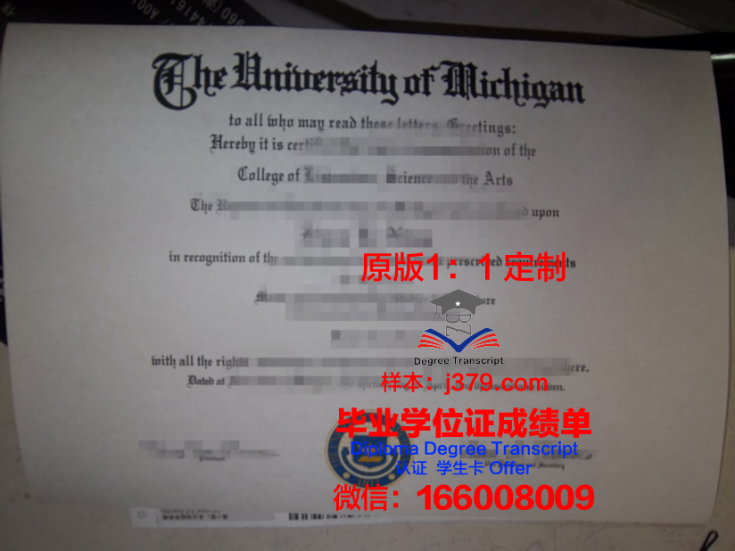 波茨博士毕业证：一份跨越时空的荣誉证书
