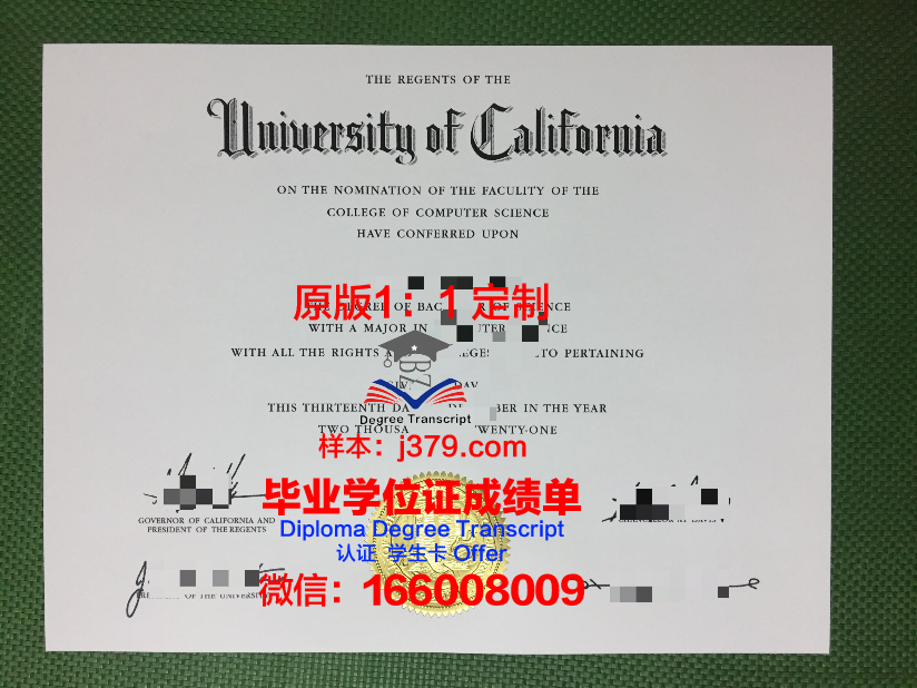 波恩-莱茵-锡格应用技术大学毕业证成绩单