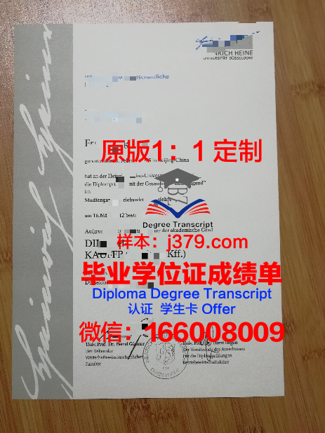 杜塞尔多夫大学毕业证书模板(杜塞尔多夫大学排名)