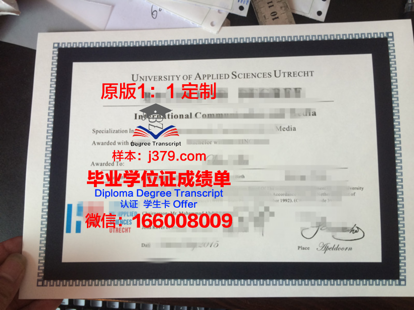 瓦萨应用科学大学学位成绩单定制：专业与个性化的完美结合