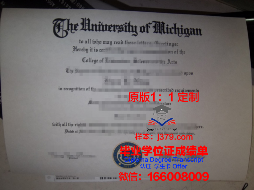 波尔多大学毕业证图片