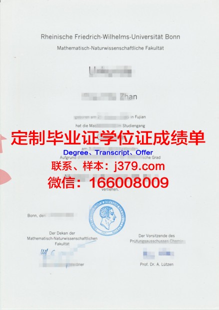 波恩大学毕业证图片高清(波恩大学毕业证图片高清大图)