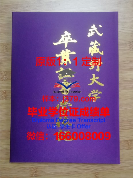 波尔多第二大学毕业证壳子(波尔多第三大学学费)