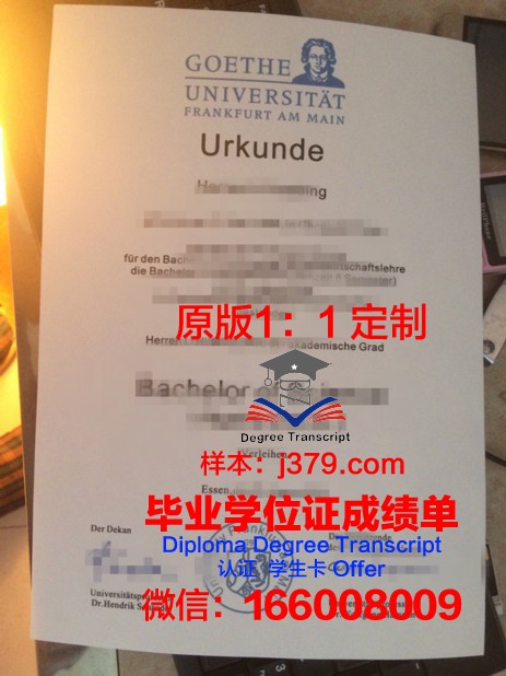 法兰克福大学成绩单：一份承载荣誉与梦想的纸笔记录