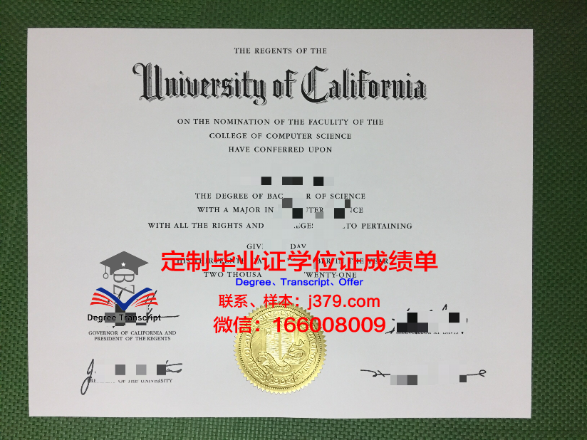 波大学毕业证：一张纸的重量与价值