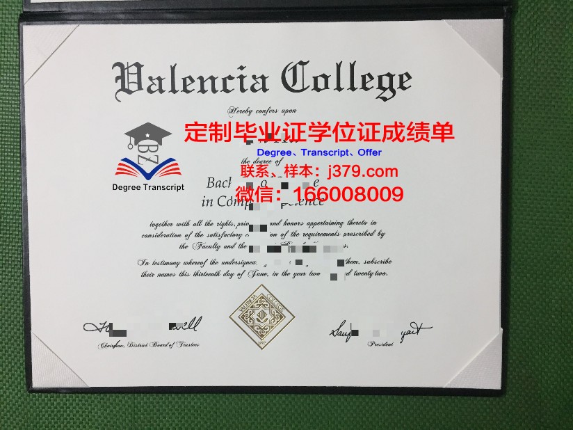 瓦伦西亚大学毕业证是英文版的吗(瓦伦西亚大学相当于国内什么大学)