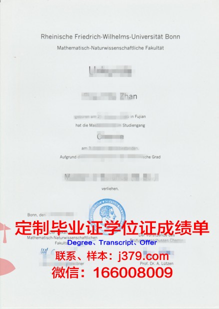 波恩大学毕业证学位证(波恩大学vwl)