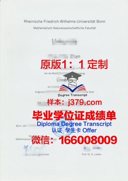 波恩大学毕业证Diploma文凭成绩单
