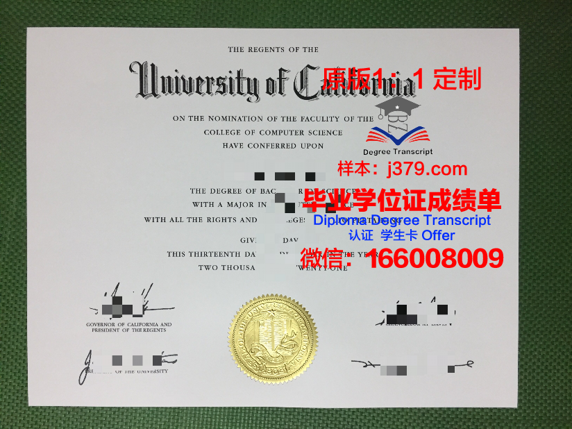 波恩-莱茵-锡格应用技术大学毕业证：开启国际职场大门的钥匙