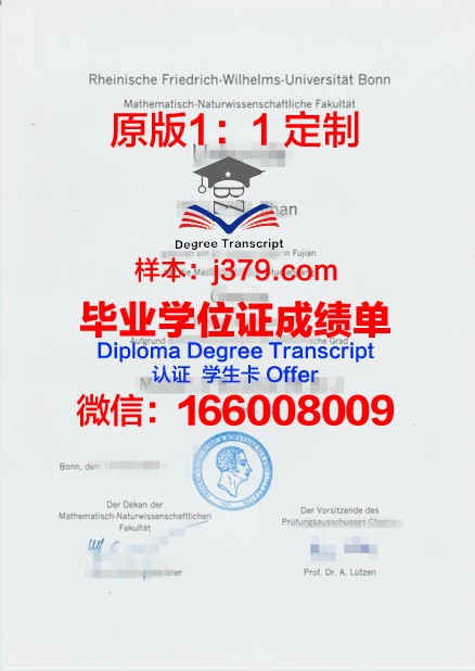波恩大学毕业证定制：探寻历史的痕迹与工艺的魅力