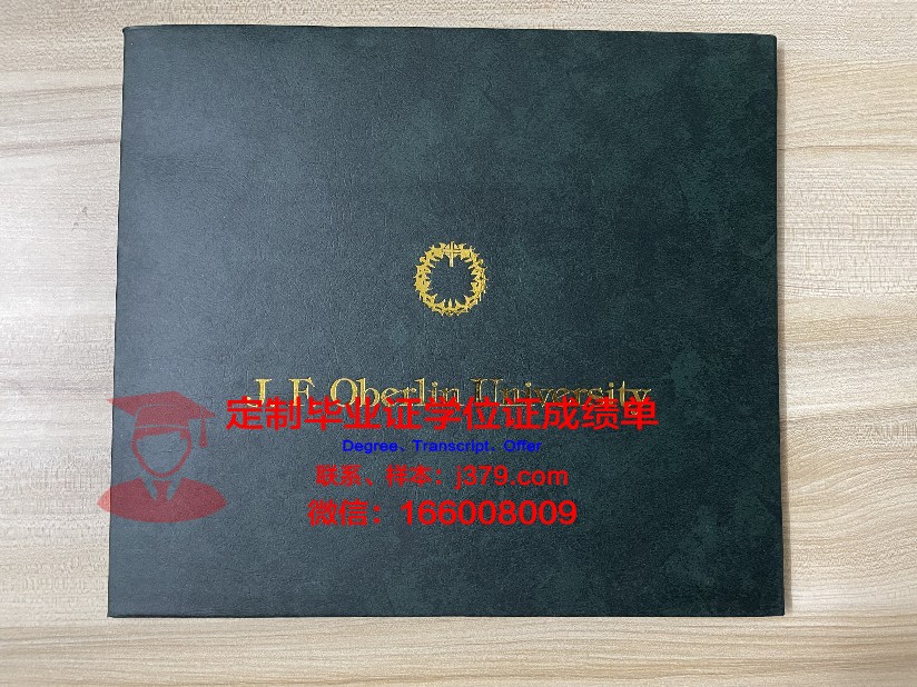 波尔图大学成绩单怎么打印(波尔图大学申请)